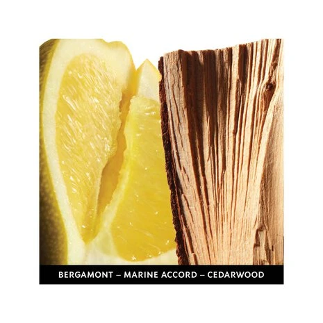 L'HOMME Cologne Bleue Eau De Toilette 4 L'HOMME Cologne Bleue Eau De Toilette - Image 2