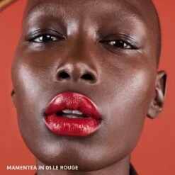 THE BOLD HIGH PIGMENT LIPSTICK -Rimberio Cosmetics 3614273056519 alt4