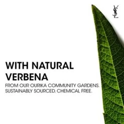 NU TONE CORRECTOR -Rimberio Cosmetics 3614273542777 alt2 1