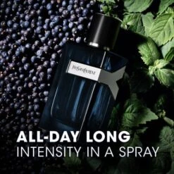 Y EAU DE PARFUM INTENSE 10 Y EAU DE PARFUM INTENSE -Rimberio Cosmetics 3614273898478 alt2