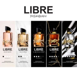 LIBRE ABSOLU PLATINE -Rimberio Cosmetics 3614273924030 alt3