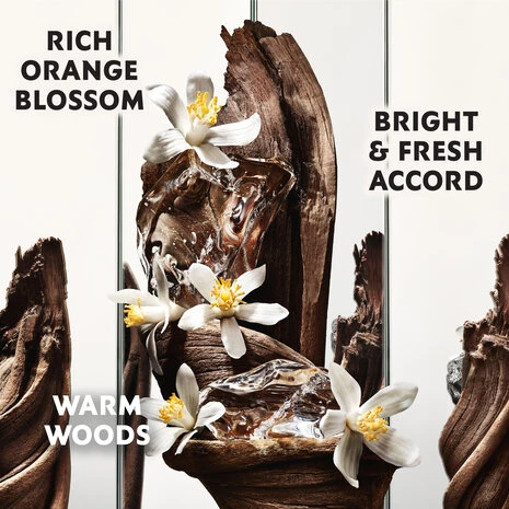 MYSLF CLEANSING BAR 6 MYSLF CLEANSING BAR - Image 4