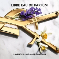 WOMEN'S PERFUME DISCOVERY SET 8 WOMEN'S PERFUME DISCOVERY SET -Rimberio Cosmetics alt2