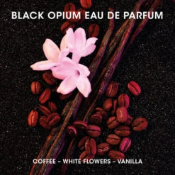 WOMEN'S PERFUME DISCOVERY SET 9 WOMEN'S PERFUME DISCOVERY SET -Rimberio Cosmetics alt3